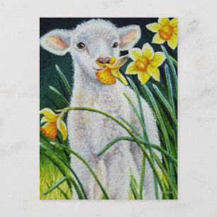 Carte Postale Lamb bébé et jonquilles de printemps aquarelle Art