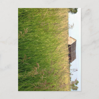 Carte Postale L'Ambre de Hay de Kathleen Taylor