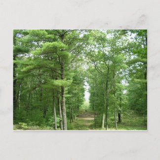 Carte Postale L'Amérique de Stonehenge, Salem, VT