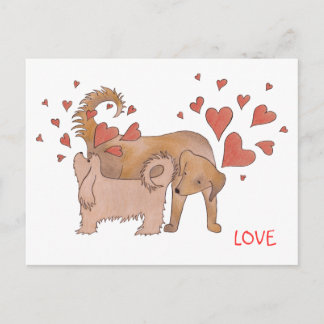 Carte Postale L'amour des chiens