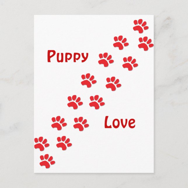 Carte Postale L'amour des chiots (Devant)