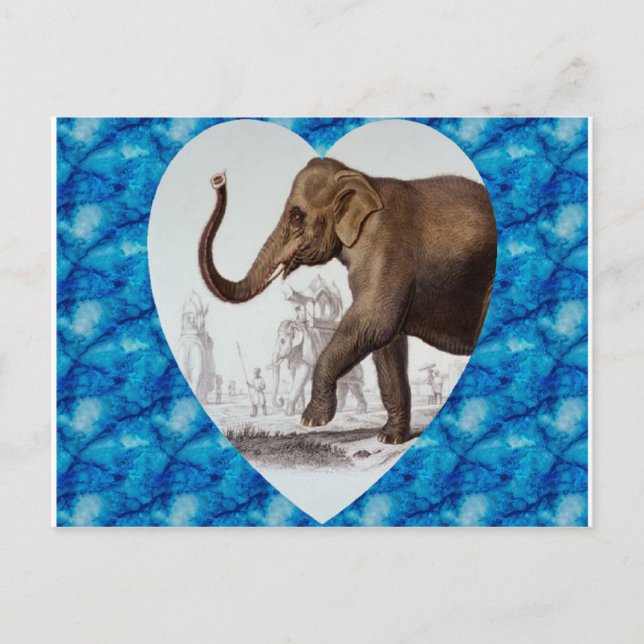 Carte Postale L'amour des éléphants (Devant)
