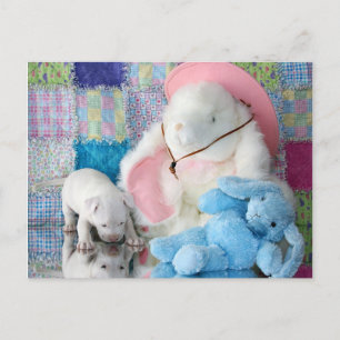 Carte Postale L'amour du chiot de printemps