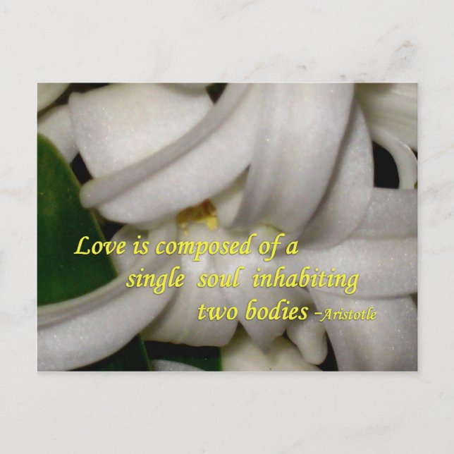 Carte Postale L'amour est (Devant)