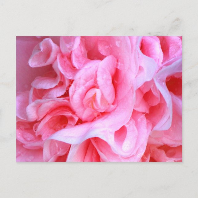 Carte Postale L'amour est_ (Devant)