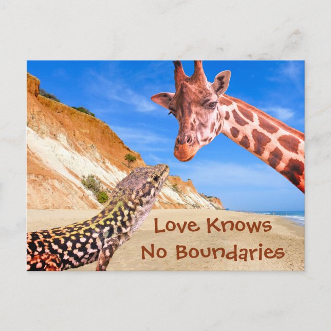 Carte Postale L'amour ne connaît pas de limites Funny Animal Pho (Devant)