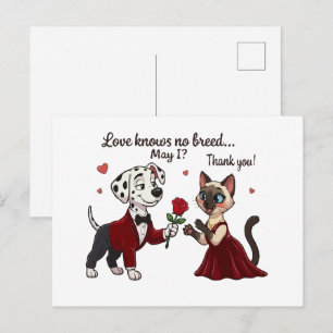 Carte Postale L'amour ne connaît pas de race Dalmatien et chat s