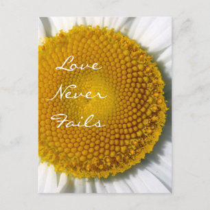 Carte Postale L'amour n'échoue jamais Daisy 1 Corinthiens 13