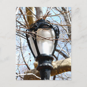 Carte Postale Lampe Post New York Central Park