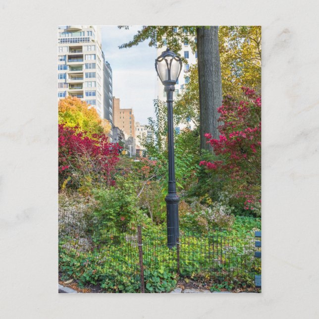 Carte Postale Lamppost et banc (Devant)