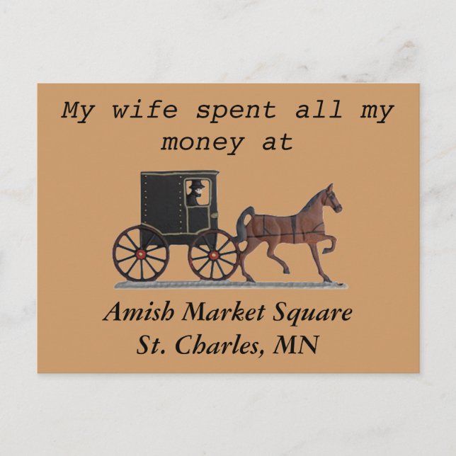 CARTE POSTALE L'AMS (Devant)