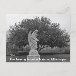 Carte Postale L'ange tournant à Natchez