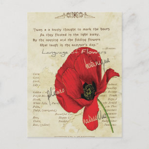 Carte Postale Langue victorienne des fleurs