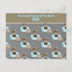 Carte Postale L'Animal Le Plus Coupé Du Monde