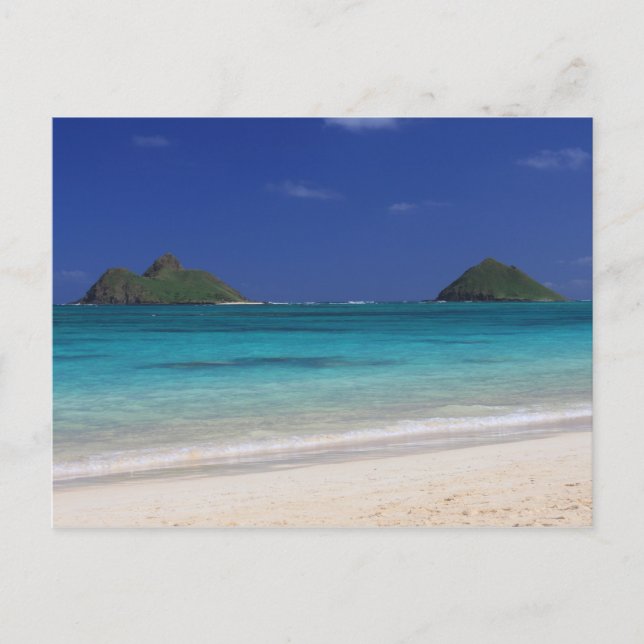 Carte Postale Lankai Beach hawaii (Devant)