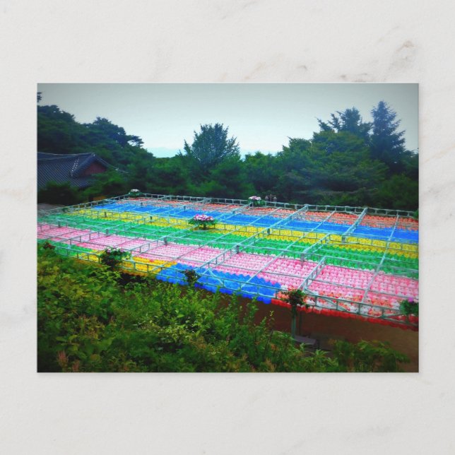 Carte Postale Lanternes à Seokguram Grotto, Corée du Sud (Devant)