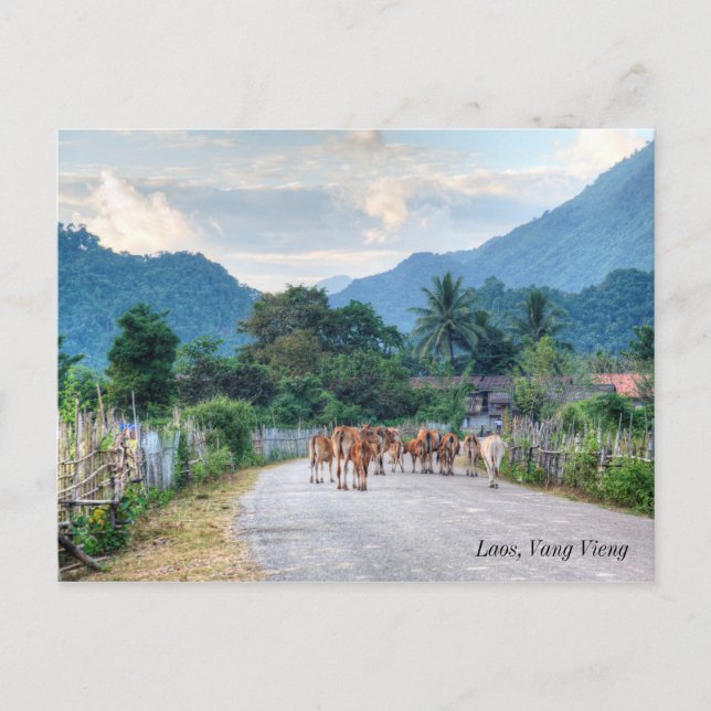 Carte Postale Laos, Vang Vieng (Devant)