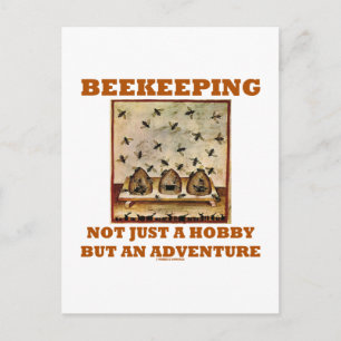 Carte Postale L'Apiculture Non Seulement Un Hobby Mais Une Avent