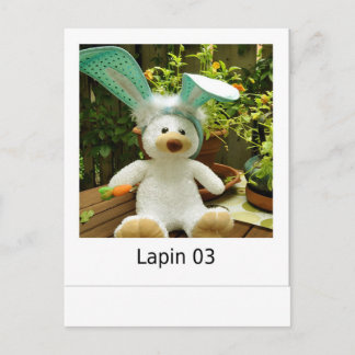 Carte Postale Lapin 03