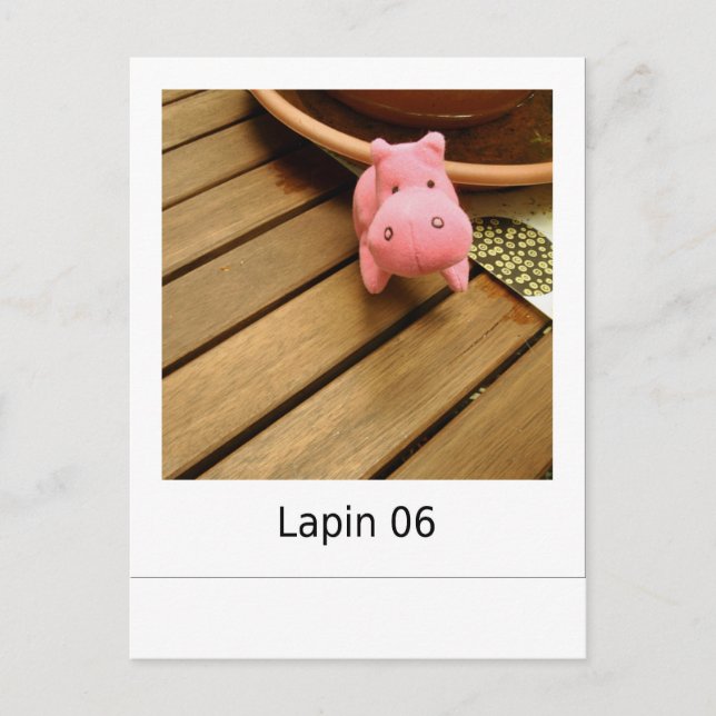 Carte Postale Lapin 06 (Devant)