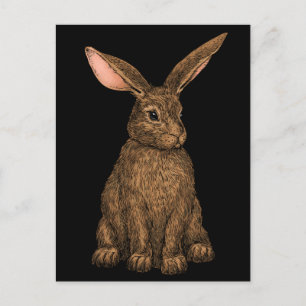 Carte Postale Lapin 3