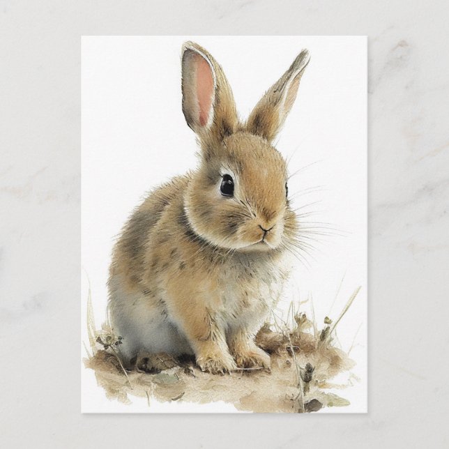 Carte postale lapin adorable en aquarelles (Devant)
