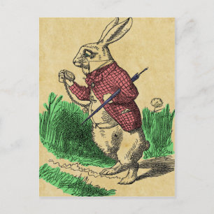 Carte postale Lapin Blanc