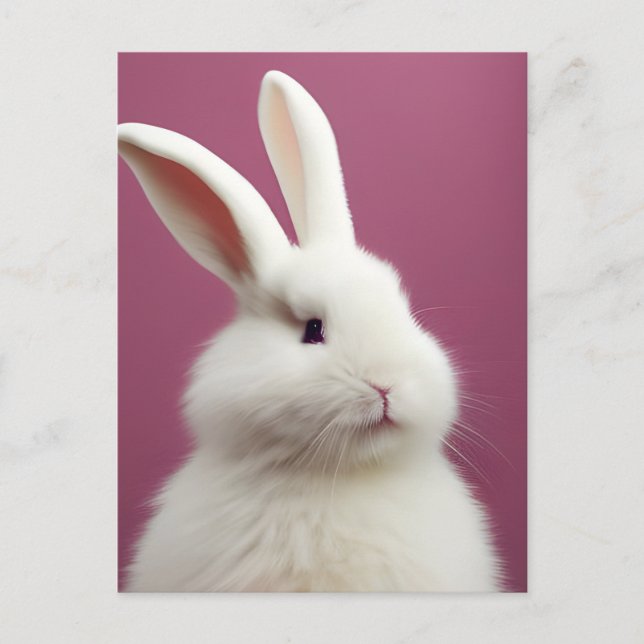 Carte Postale Lapin Blanc Adorable (Devant)