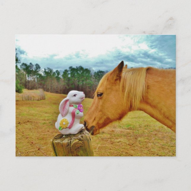 Carte Postale Lapin blanc et Cheval jaune (Devant)