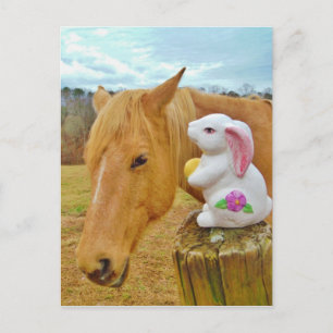 Carte Postale Lapin blanc et cheval jaune blond