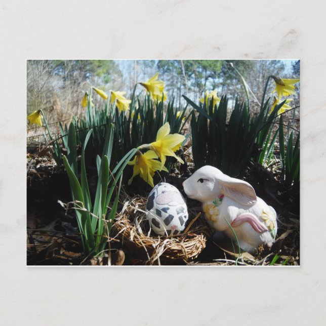 Carte Postale Lapin blanc et oeuf de vache (Devant)
