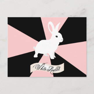 Carte Postale Lapin blanc, rose, noir et blanc