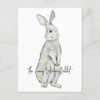 Lapin de velours drôle