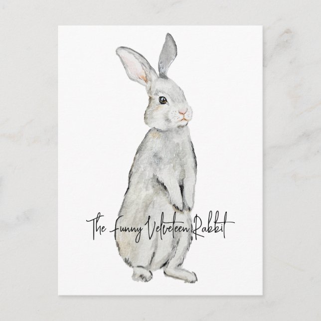 Carte Postale Lapin de velours drôle (Devant)