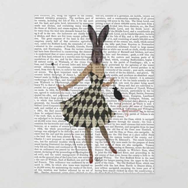 Carte Postale Lapin en robe blanche noire (Devant)