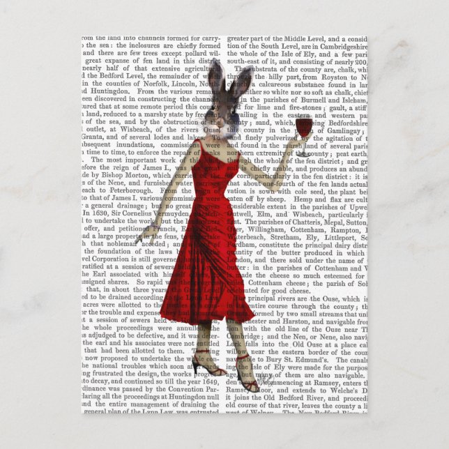 Carte Postale Lapin en robe rouge (Devant)