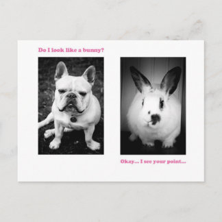 Carte Postale Lapin et bouledogue français