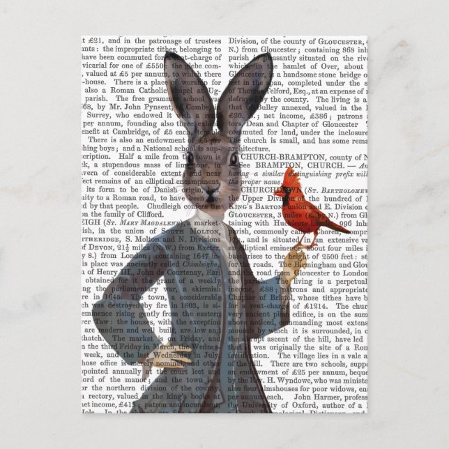 Carte Postale Lapin et Oiseau 2 (Devant)