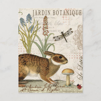 Carte Postale lapin français vintage moderne dans le jardin