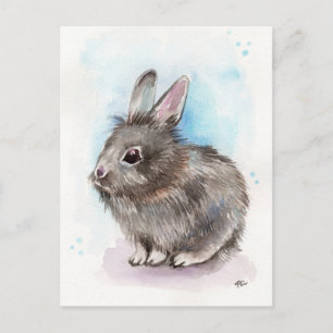 Carte Postale Lapin gris
