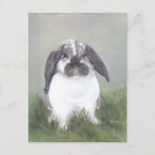 Carte postale Lapin Lapin