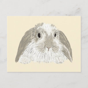 Carte Postale Lapin Lapin