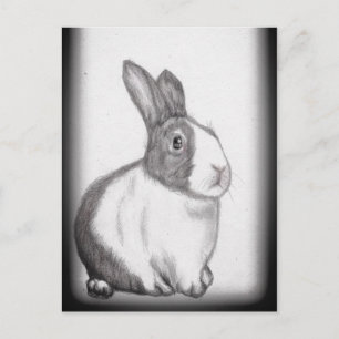 Carte Postale Lapin Lapin Blanc Fluffy Queue Longues oreilles Ca