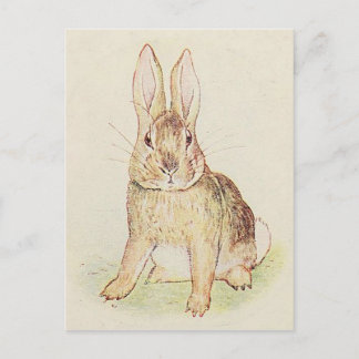 Carte Postale Lapin magnifique