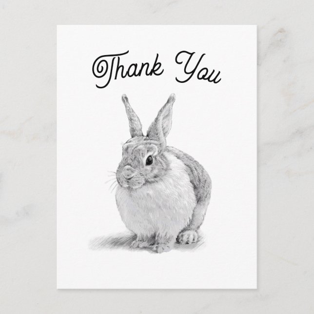 Carte Postale Lapin Merci (Devant)