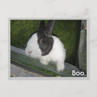 Carte Postale Lapin noir et blanc