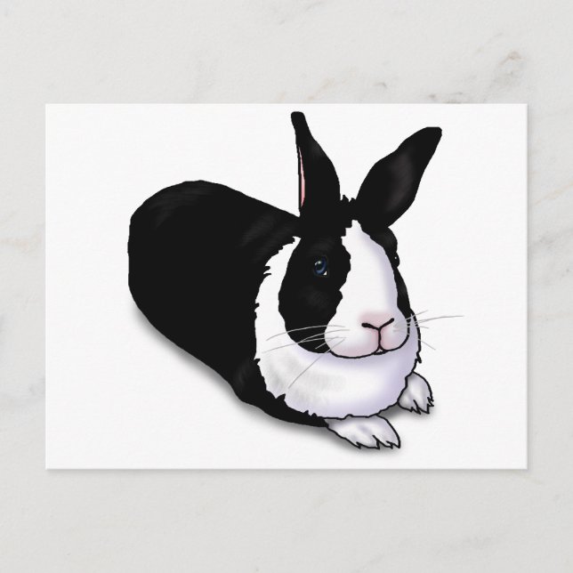 Carte Postale Lapin noir et blanc (Devant)