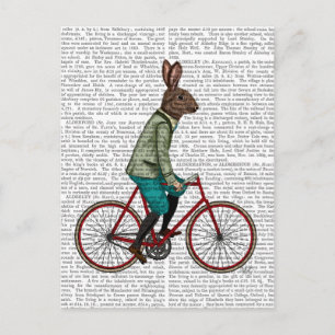 Carte Postale Lapin Sur Vélo 2