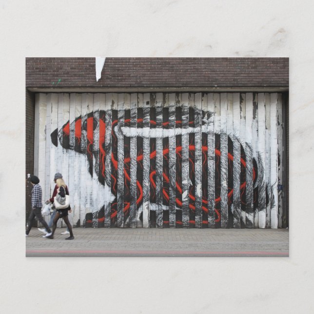 Carte Postale Lapin urbain (Devant)