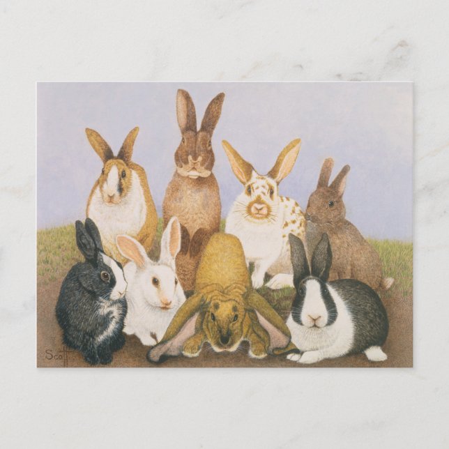 Carte Postale Lapins chanceux (Devant)